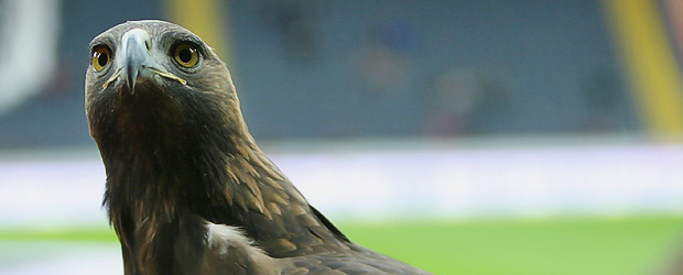 Der Adler bleibt zu Hause. Foto: Stefan Krieger.