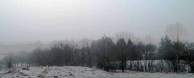 Frühling. Foto: Stefan Krieger.