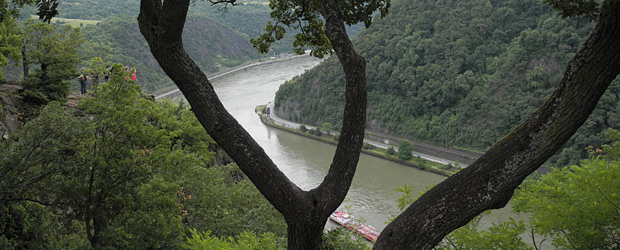 Der  Rhein. Foto: Stefan Krieger