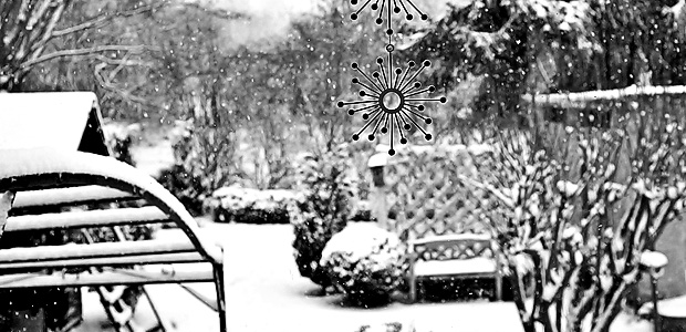 Blick aus dem Küchenfenster. Foto: Stefan Krieger.