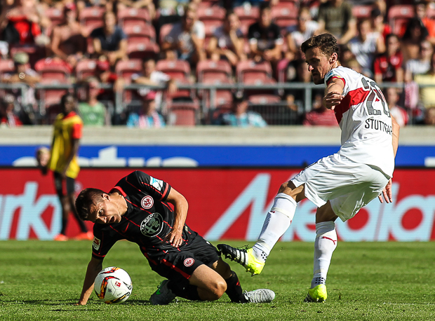 Iggy schnappt zu. Foto: Stefan Krieger.