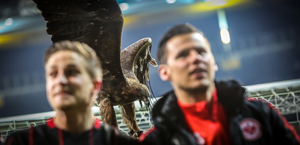 Abschluss der Tierwoche. Foto: Stefan Krieger.