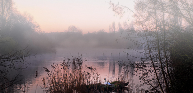 Ein neuer Morgen. Foto: Stefan Krieger.