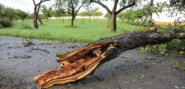 Unwetter in Wiesbaden. Foto: dpa.