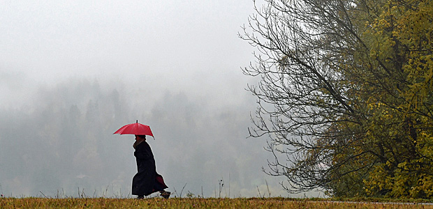 November. Foto: AFP.